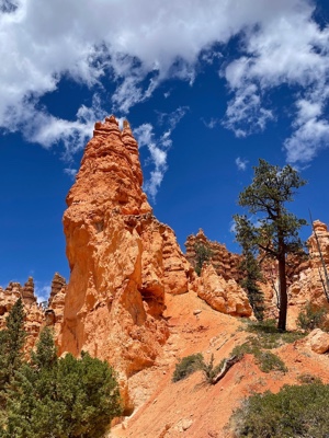 Bryce Canyon from inside the canyon