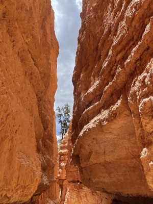 Bryce Canyon Hiking